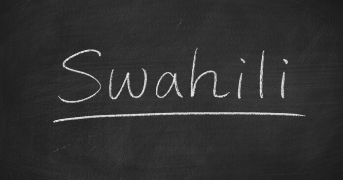 swahili-south-african-schools-iStock-852988690th Introduction of Swahili in Schools to Help Decolonisation and Business in Africa