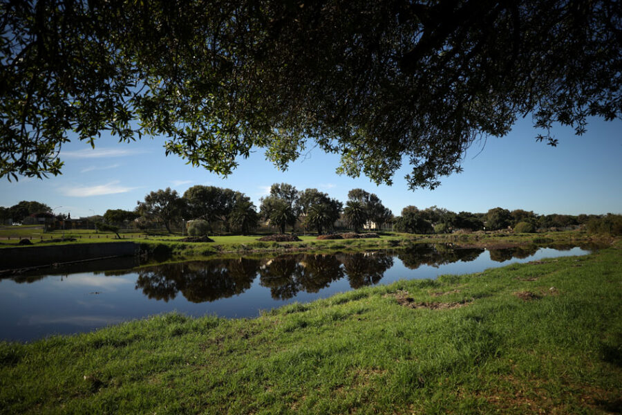 Amazon Africa heritage dispute land HQ