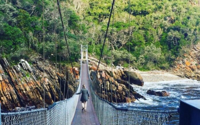 Woman Loses Life in Tsitsikamma National Park After a Fall Woman Loses Life in Tsitsikamma National Park