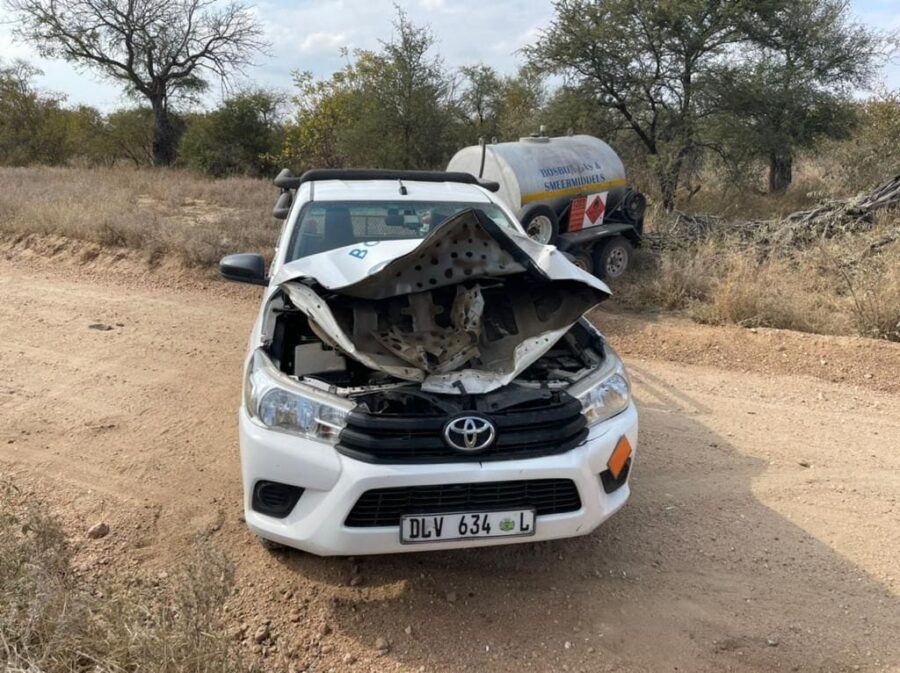 elephant attacks bakkie vehicle