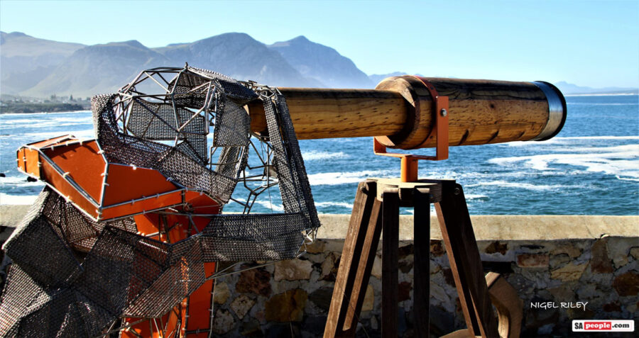 The View by Jean Theron Louw
