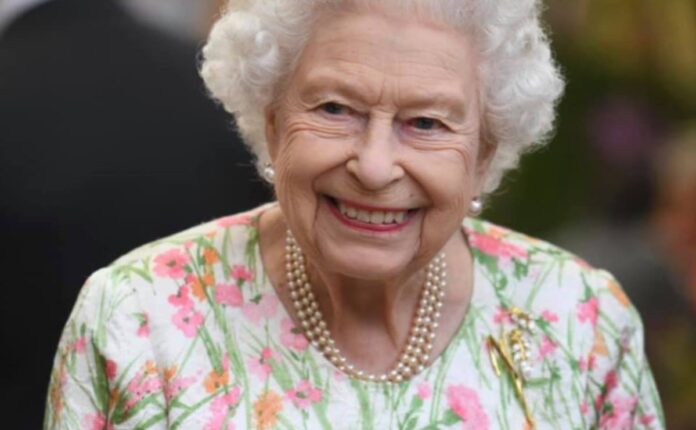 Queen Elizabeth wears brooch designed by South African designer Kevin Friedman