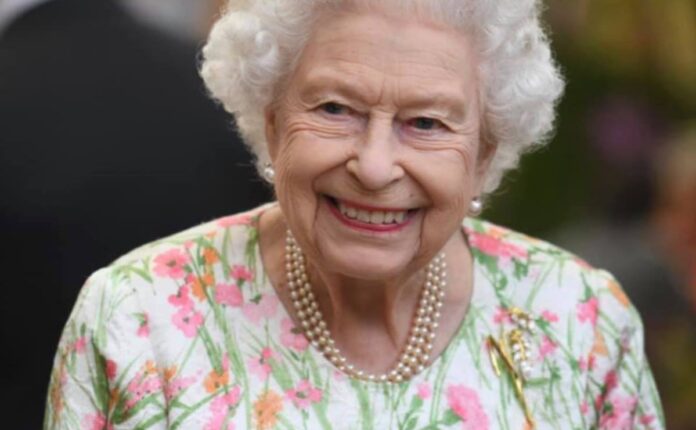 queen elizabeth Queen Elizabeth wears brooch designed by South African designer Kevin Friedman