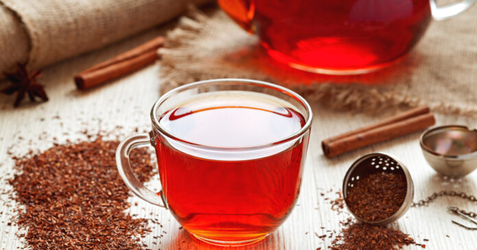 rooibos-2-redbush-red-bush-iStock-478180576 EU Approves Designation of Rooibos / Redbush, First African Food to be Registered