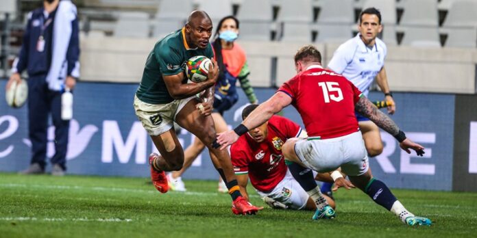 Springboks Level the Lions Series With Big Win in Cape Town Springboks Level the Lions Series With Big Win in Cape Town