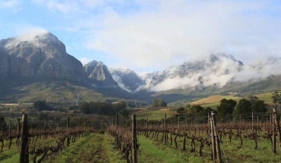 Chill in stellenbosch