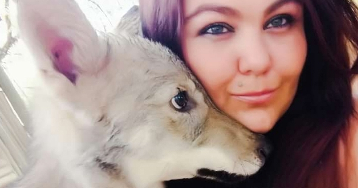 abandoned-wolves-South-Africa