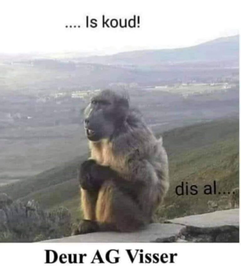 PHOTOS Snow Blankets Parts of South Africa on RecordBreaking Coldest