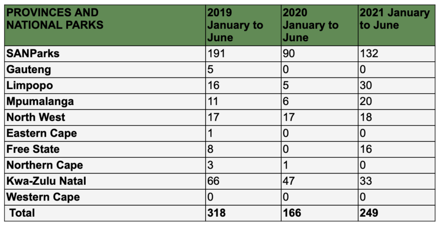 rhino poaching statistics South Africa