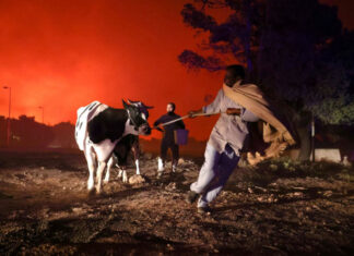 Greek wildfires August 2021