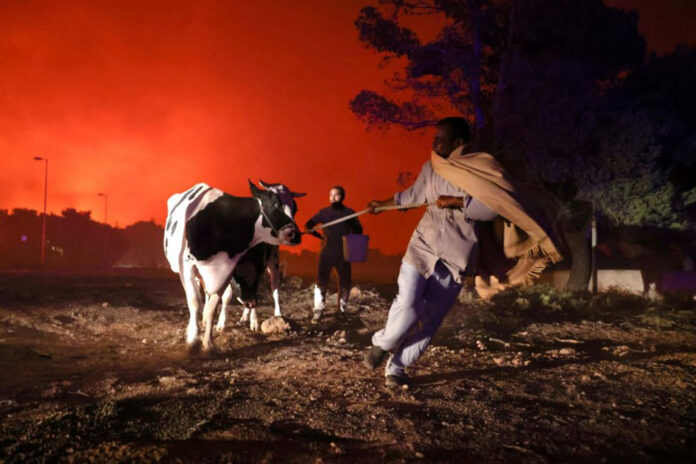 FILE PHOTO: Wildfires rage in north of Athens Greek wildfires August 2021