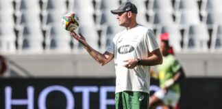 jacques nienaber springboks