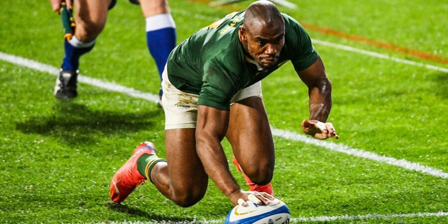 makazole-mapimpi-springboks