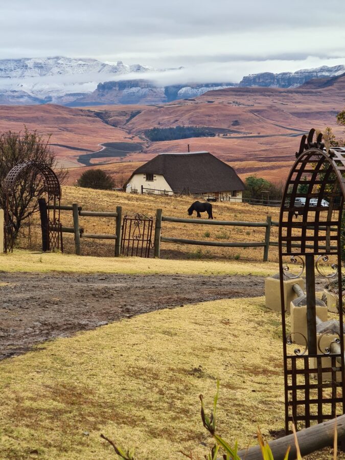 Drakensberg snow