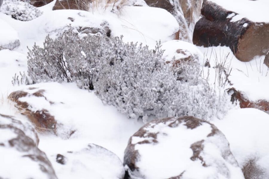 Snow Southern Africa Lesotho