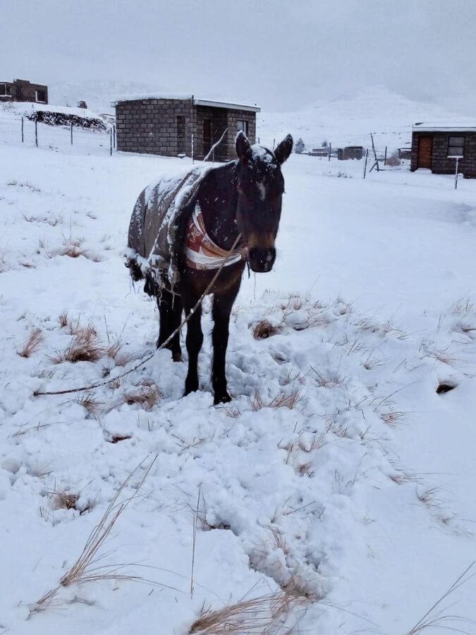 Snow Africa Lesotho