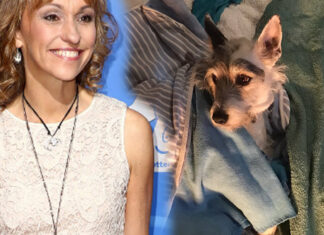 Dogs Poisoned by Crystal Meth in Cape Town, Reveals UK Celebrity Michaela Strachan