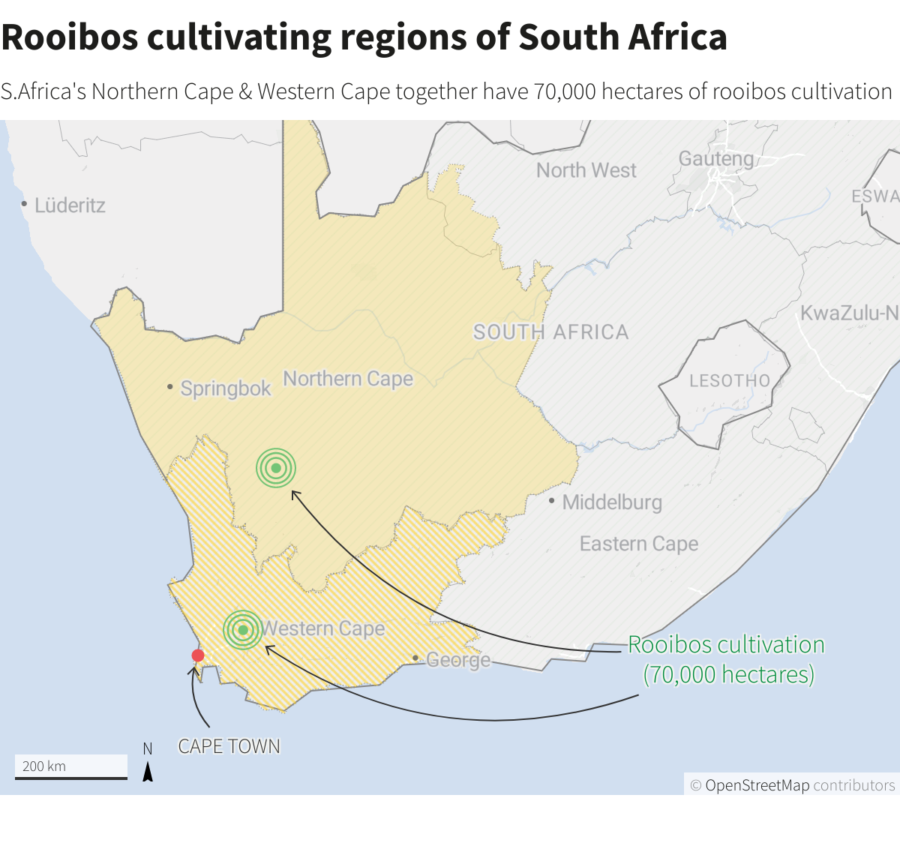 Rooibos Tea's New Status Should Boost Fortunes for South Africa's Crop