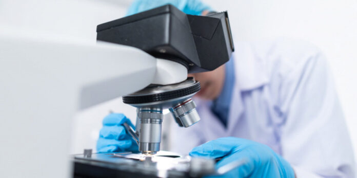 South-Africa-variant-of-interest-C-1-2 The C.1.2 variant is associated with increased transmissibility, neutralisation resistance and disease severity.