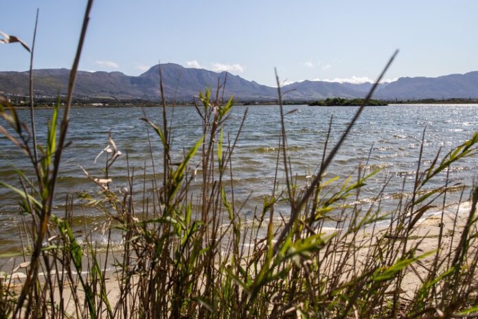 cape town water zndvlei-20210825-img_6885hr_extra_large Zandvlei has been closed for recreational use for three months because of sewage spills. Photo: Ashraf Hendricks