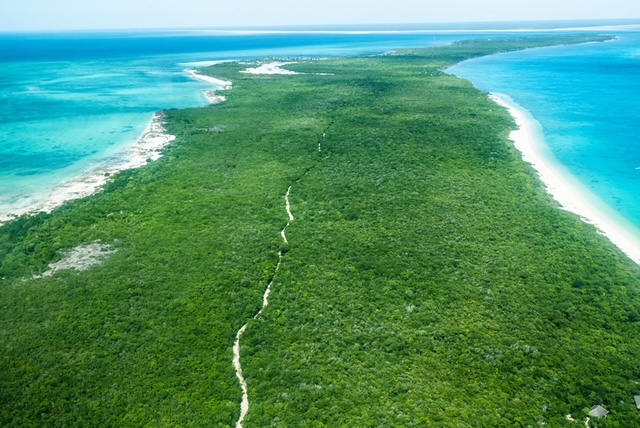 Aerial view of Vamizi Island showing coral rag forest, Mozambique