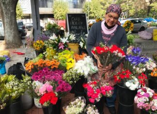 Wadea Tape has been selling flowers in the same place for 40 years. Photo: Ashraf Hendricks