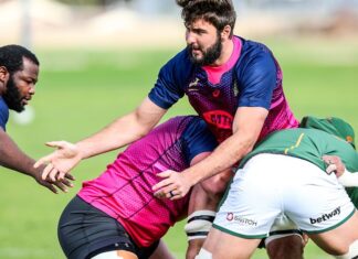 Springboks Recall Experienced Trio to Take on New Zealand: De Jager, Jantjies and Steyn