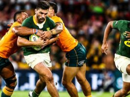 Springboks lose Wallabies South Africa Australia rugby