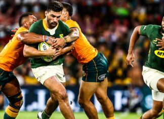Springboks lose Wallabies South Africa Australia rugby