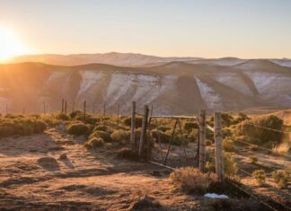 South African National Parks Week dates announced