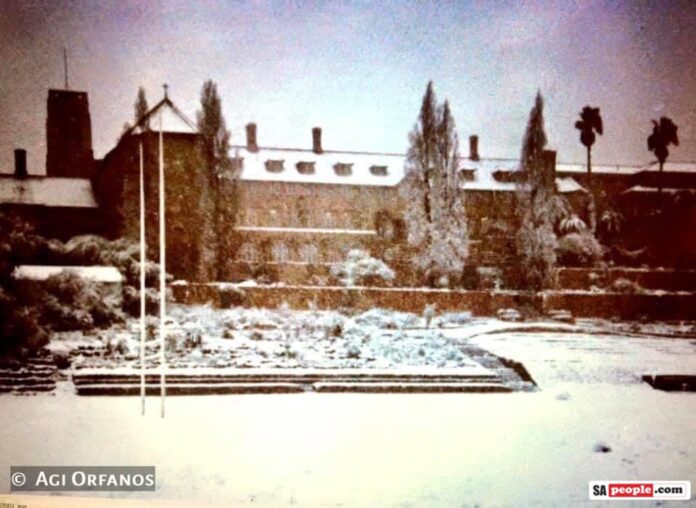 Snow Joburg Snow Joburg