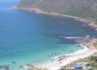 NSRI Appeal to South Africans to be 'Cautious' Around Seals and Sea Animals