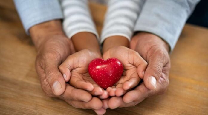 organ donors organ donors