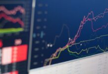 Investment Tips for South Africans