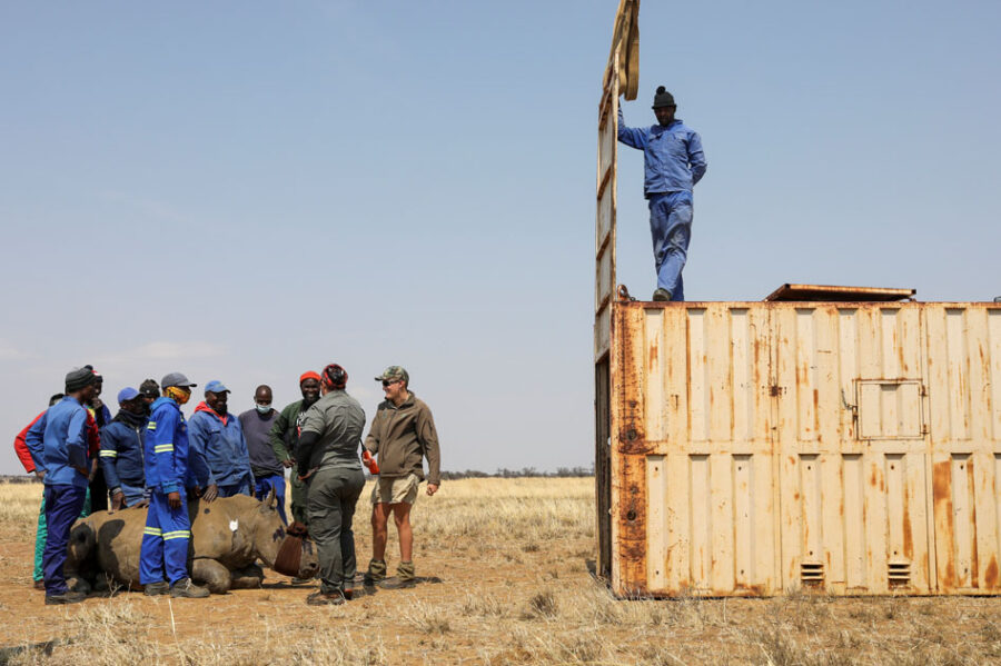 rhino ranch South Africa protect rhino