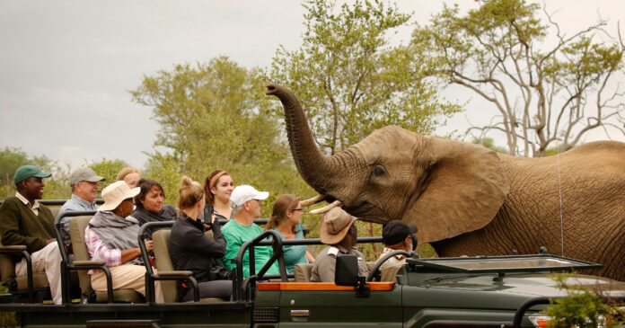 south-africa-tourism-iStock-1272952074-th SA's Tourism Equity Fund with BEE Criteria Declared Unlawful by Court