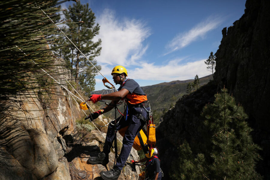 Invasive vegetation removed from South Africa's Franschhoek mountains