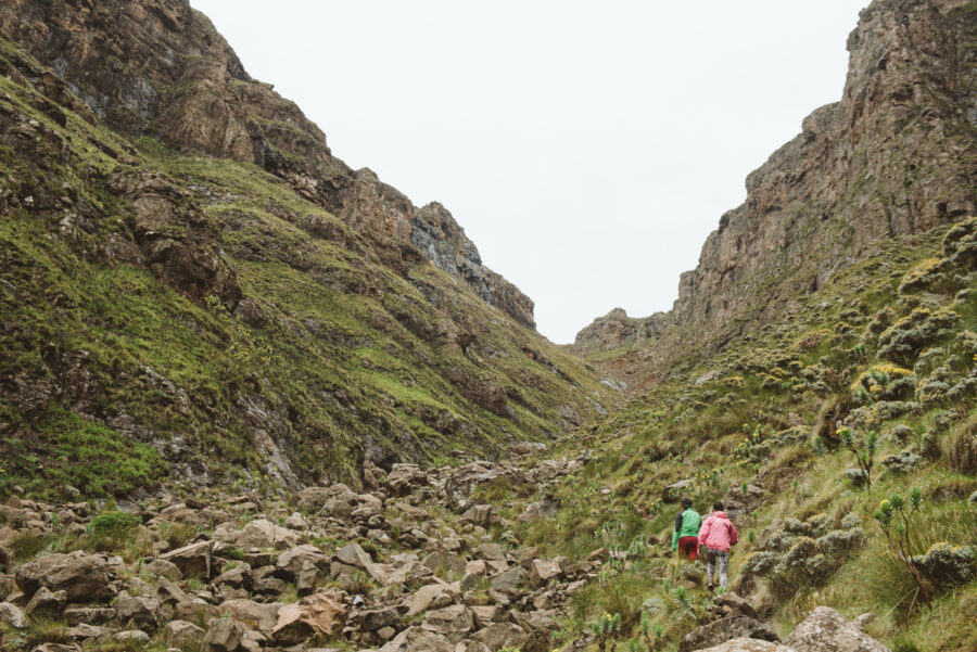 Rhino Peak Challenge
