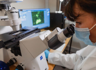 Prof Resia Pretorius from Stellenbosch University used fluorescent microscopy to find and identify the persistent micro clots in the blood samples from individuals with long-COVID.