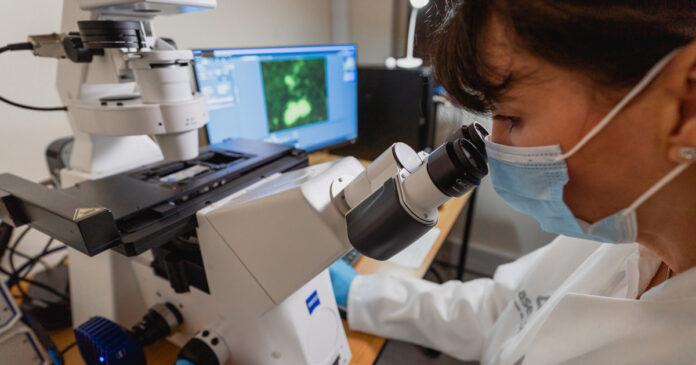 Prof-Resia-Pretorius-blood-clots-long-covid-SU Prof Resia Pretorius from Stellenbosch University used fluorescent microscopy to find and identify the persistent micro clots in the blood samples from individuals with long-COVID.