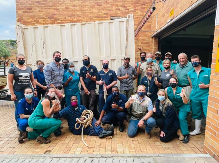 first-ever successful CT scan on a live rhino in South Africa.