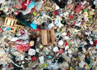 Local Recyclers in South Africa Win Global Award