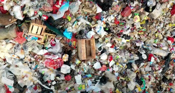 south-african-recyclers-win-global-award Local Recyclers in South Africa Win Global Award