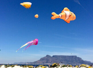 table-mountain-kites-south-africa-new-normal