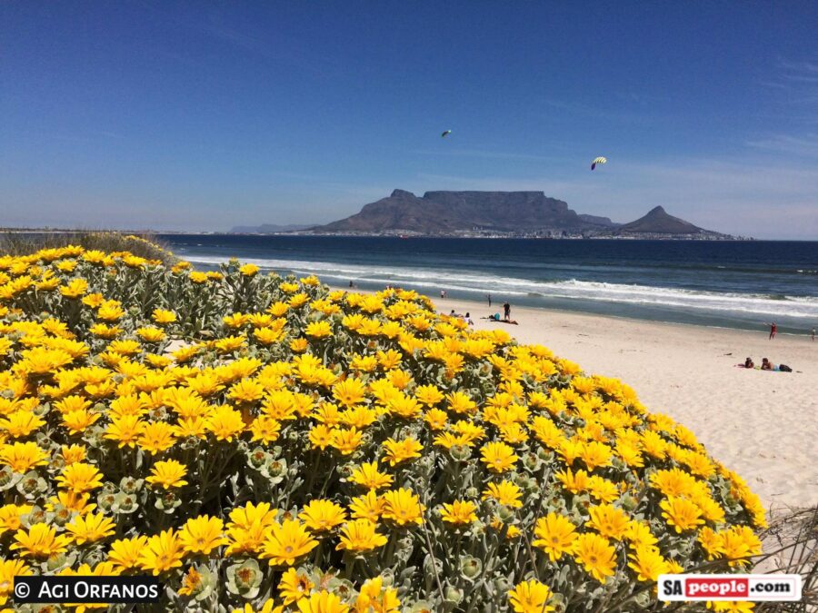 kite festival table mountain south africa