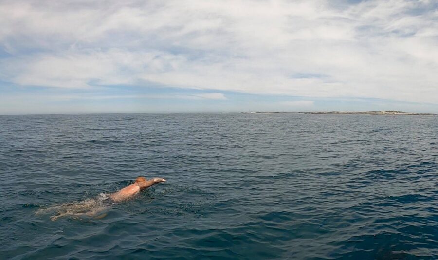 Dewet Du Toit Completes Historic 'Shark Alley' Swim to Dyer Island for Great White Sharks