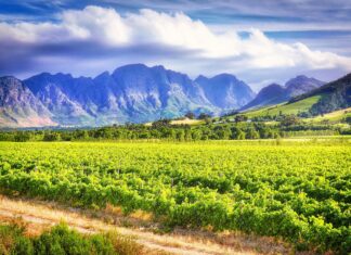 Wine Town Stellenbosch