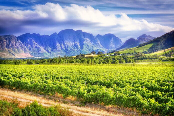 wine Town Stellenbosch Wine Town Stellenbosch