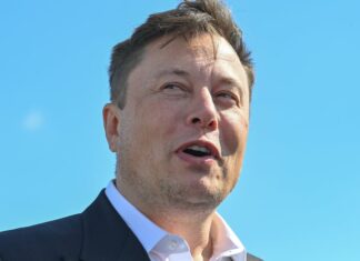 Elon Musk world hunger Twitter