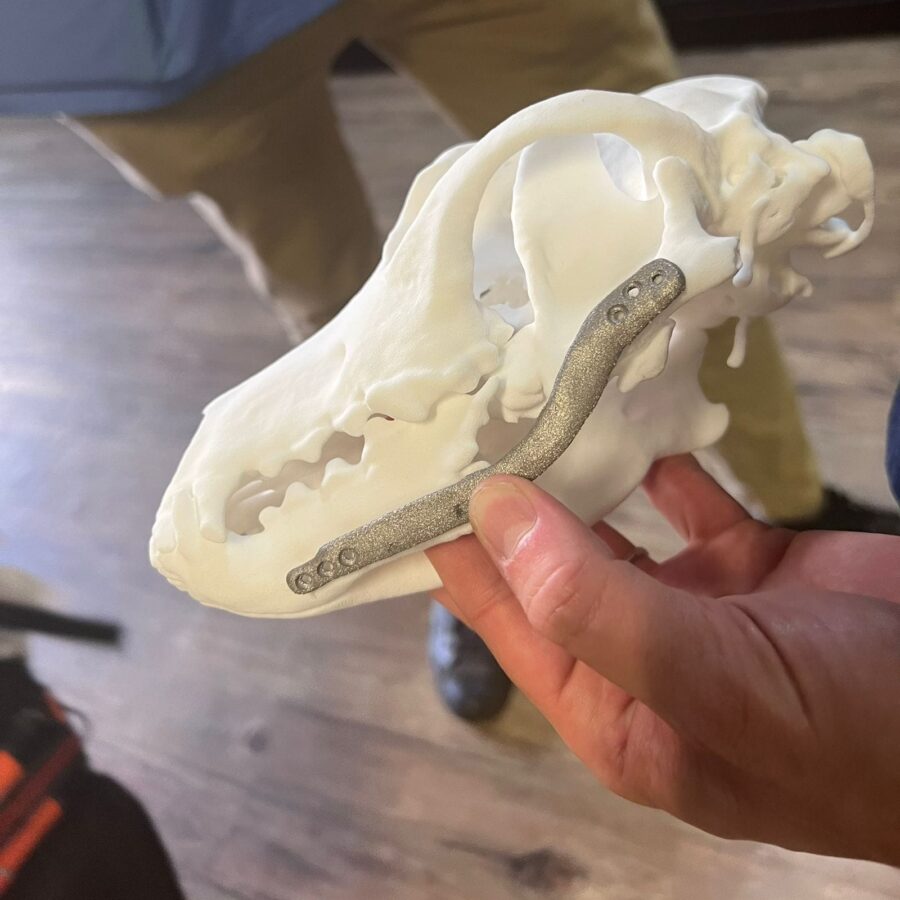 Kei hero dog titanic jaw